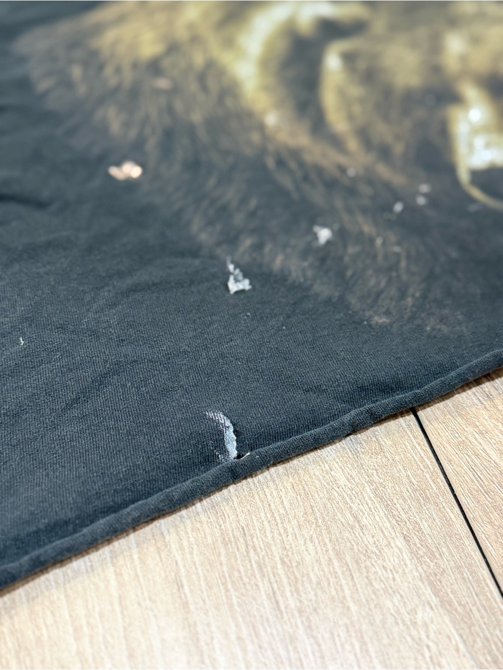 Anvil Vintage Grizzly Bear Graphic Crop Tee Distressed Wildlife T-Shirt Size XL - Picture 4 of 9